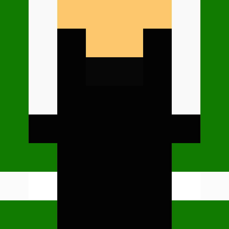 BukkitAPI's skin