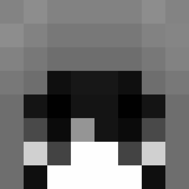 Cartizoll's skin