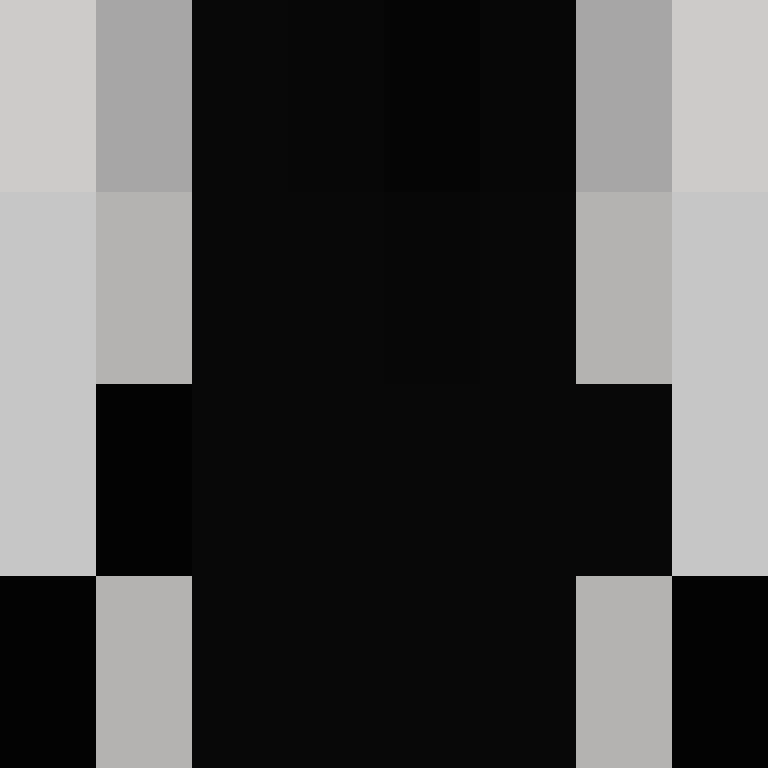 deminecrafterlol's skin