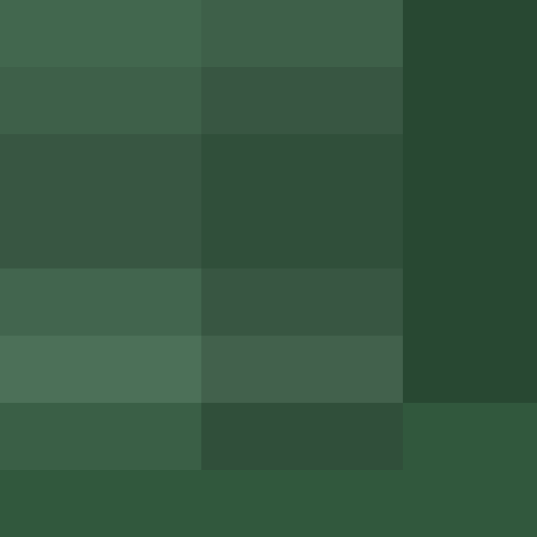 ShakaYami's skin