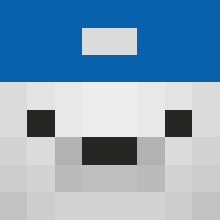 ItzBearX2's skin