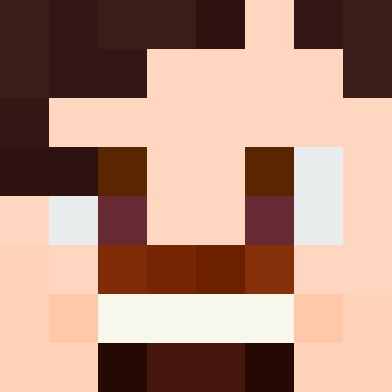 8aca680b22461340's skin