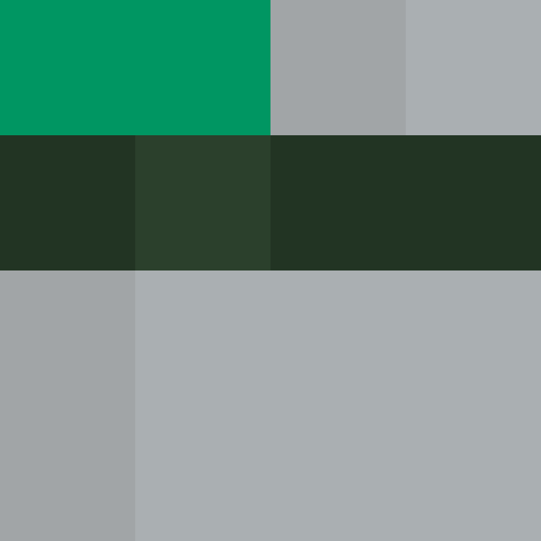 bigibas123's skin