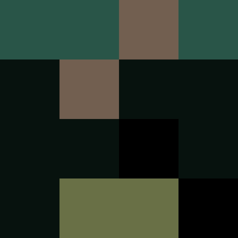 Piedrita17's skin