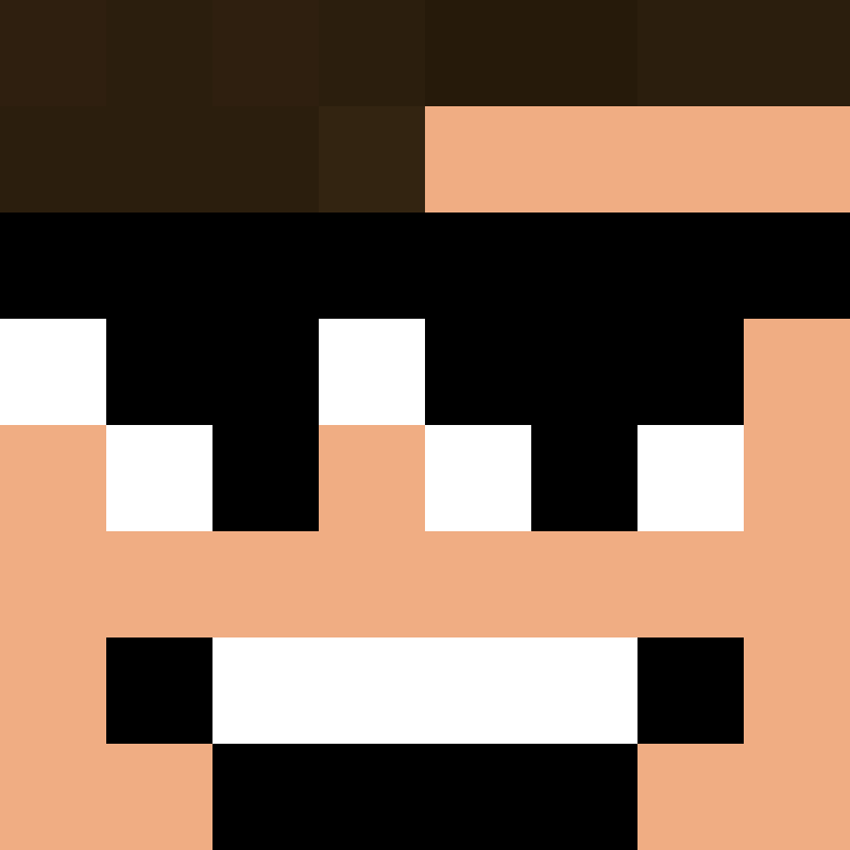 CeilingBird's skin