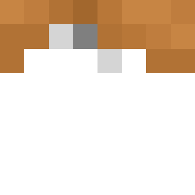 TheCuriousMiner's skin