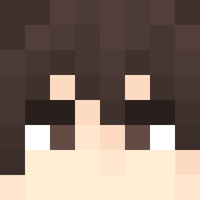 TheCuriousMiner's skin