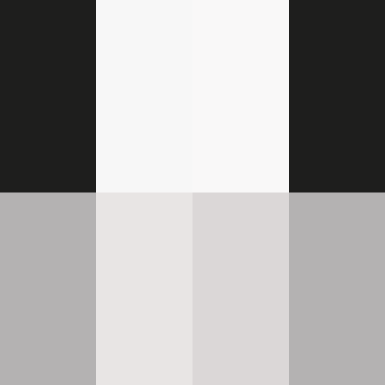 BukkitAPI's skin