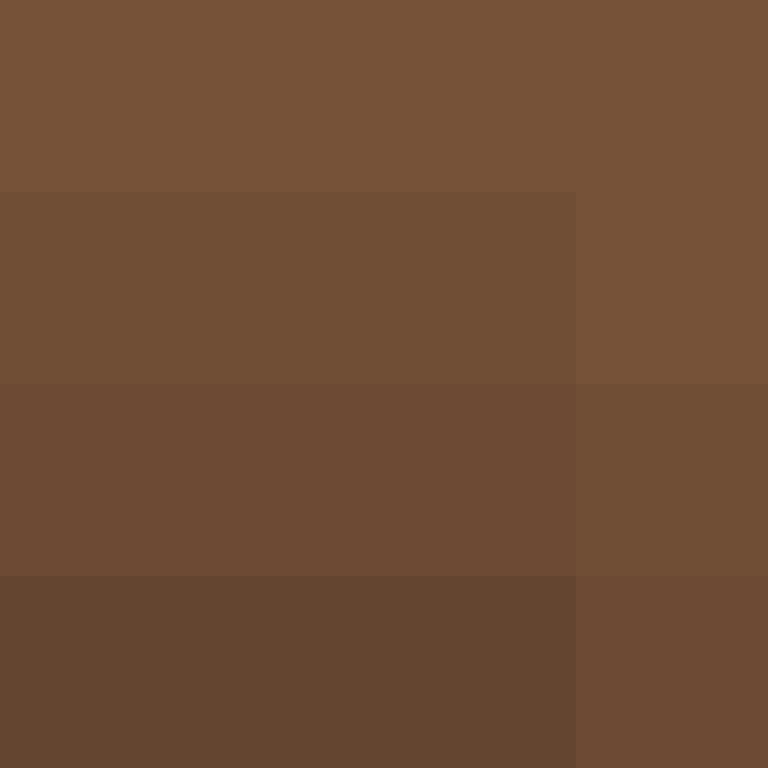 Piedrita17's skin