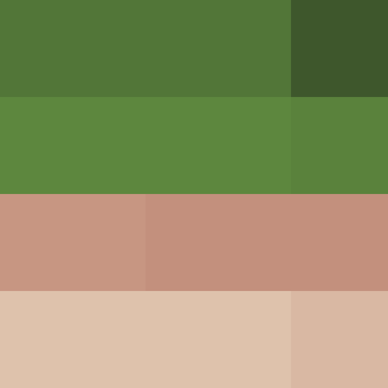 bigibas123's skin
