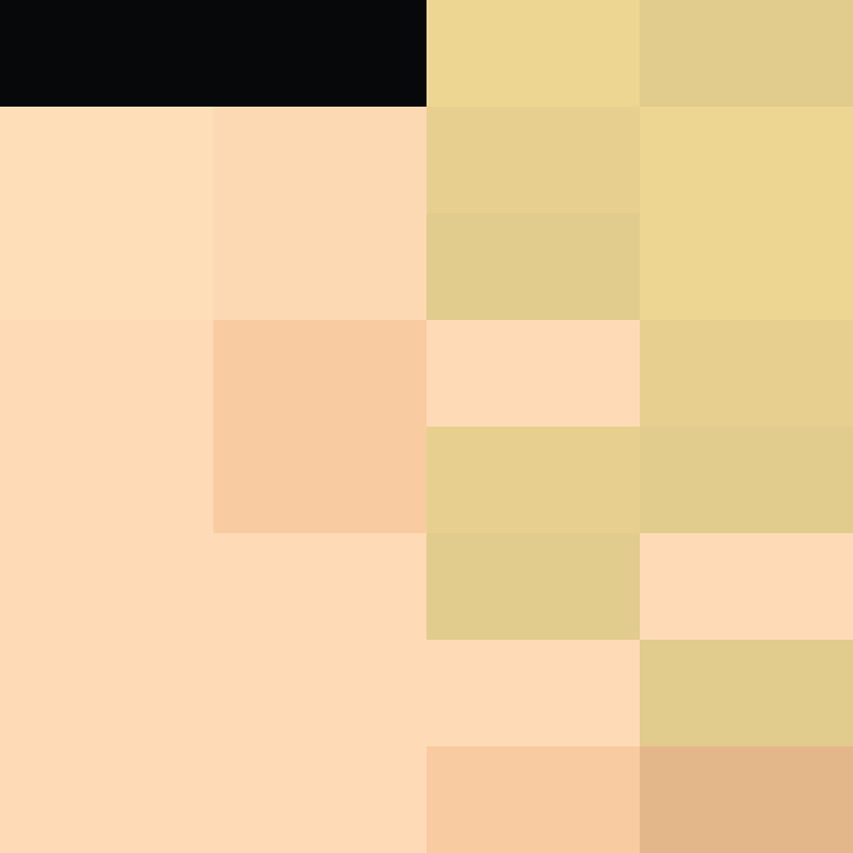 CeilingBird's skin