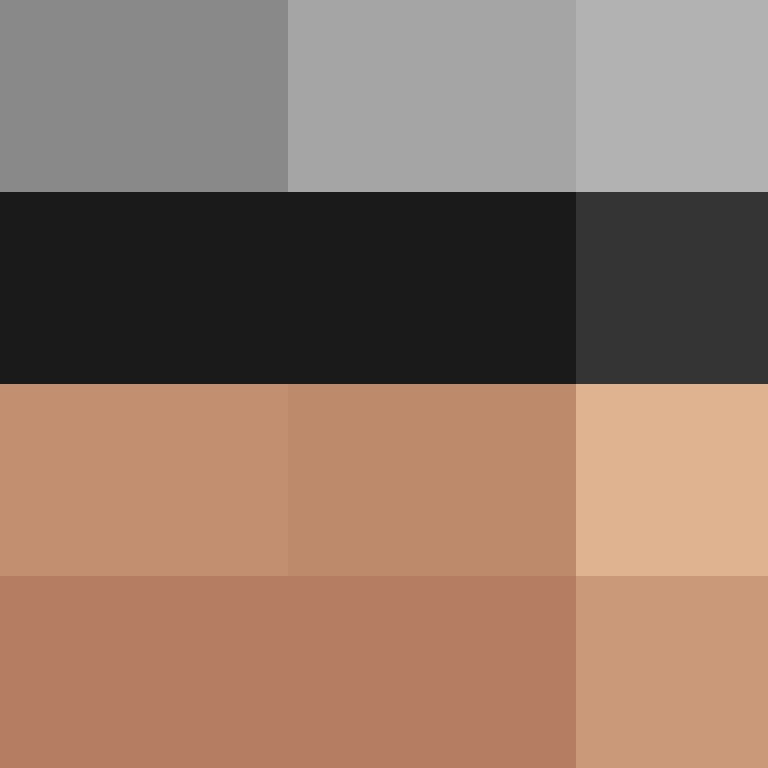 Notro_Client's skin