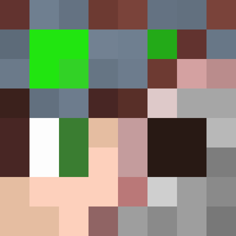 DinoBrik's skin