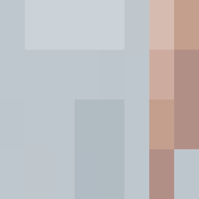 CeilingBird's skin