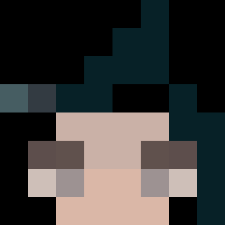 BukkitAPI's skin