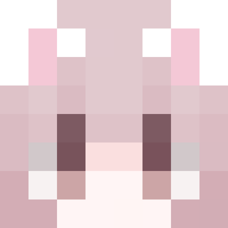 chizutouch's skin