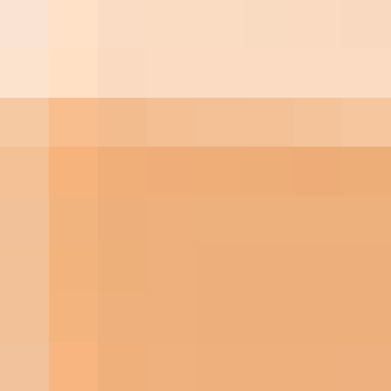 BukkitAPI's skin