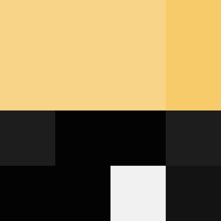 CeilingBird's skin