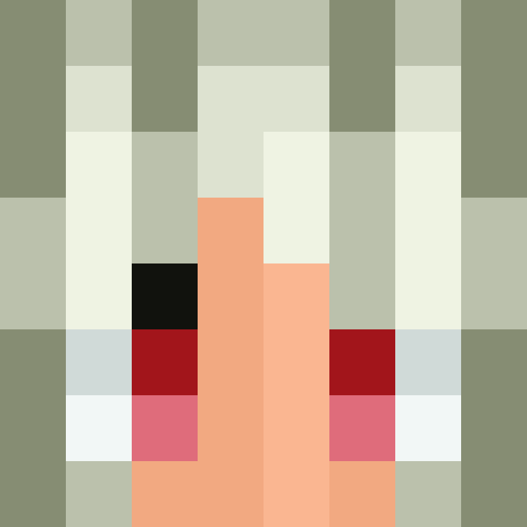 Void_NovaMC's skin