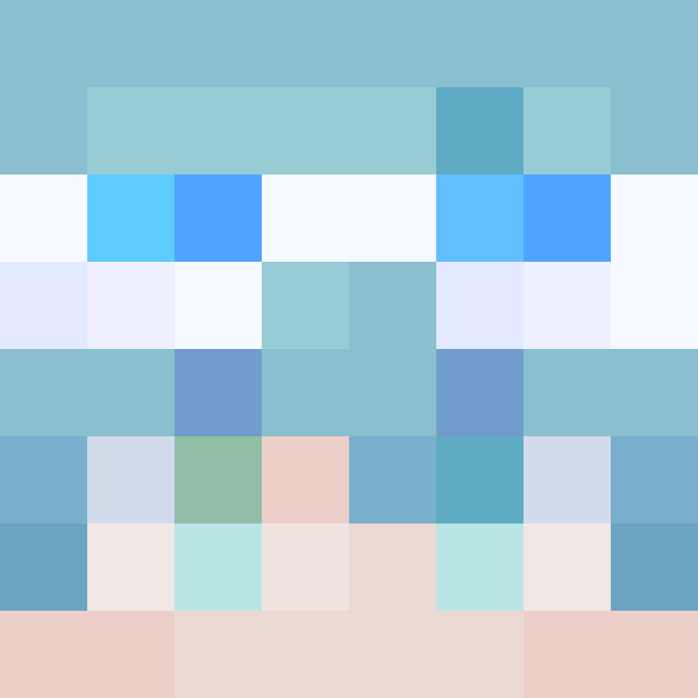 CeilingBird's skin