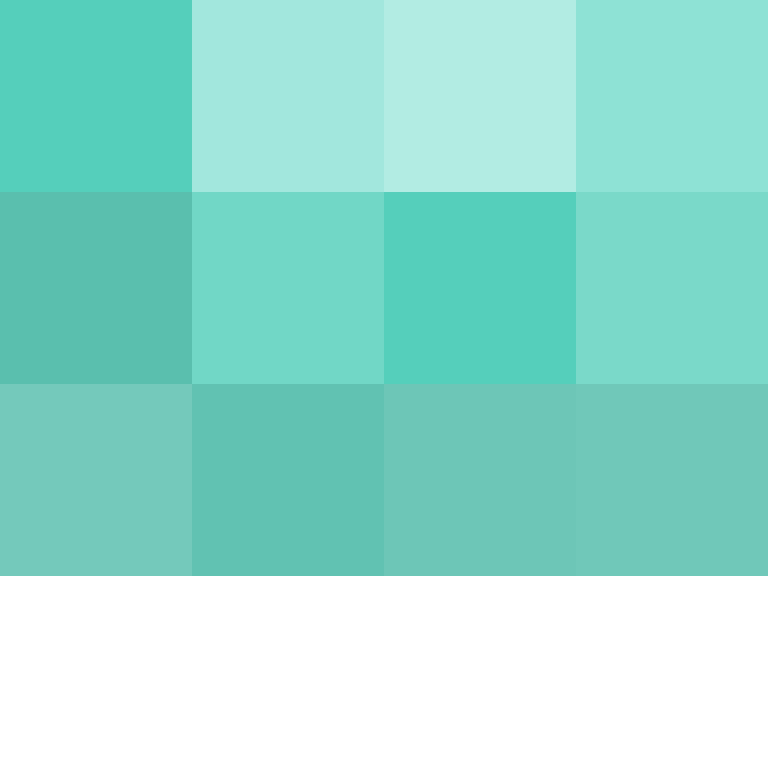 Cartizoll's skin