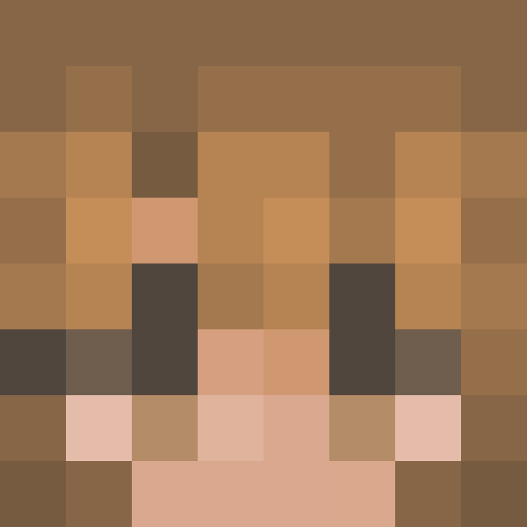 CeilingBird's skin