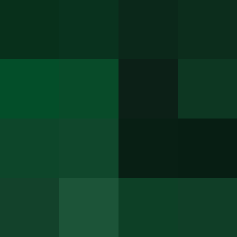 CrypticLoser13's skin