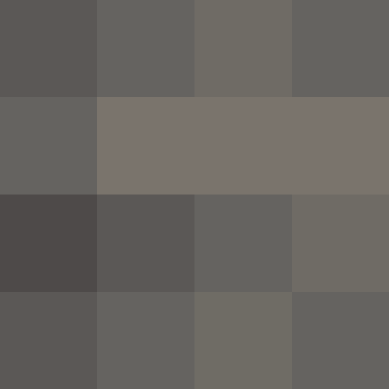 Cartizoll's skin