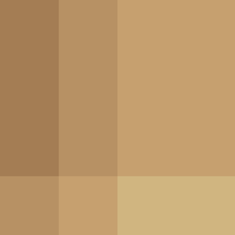 ElectronicSex's skin
