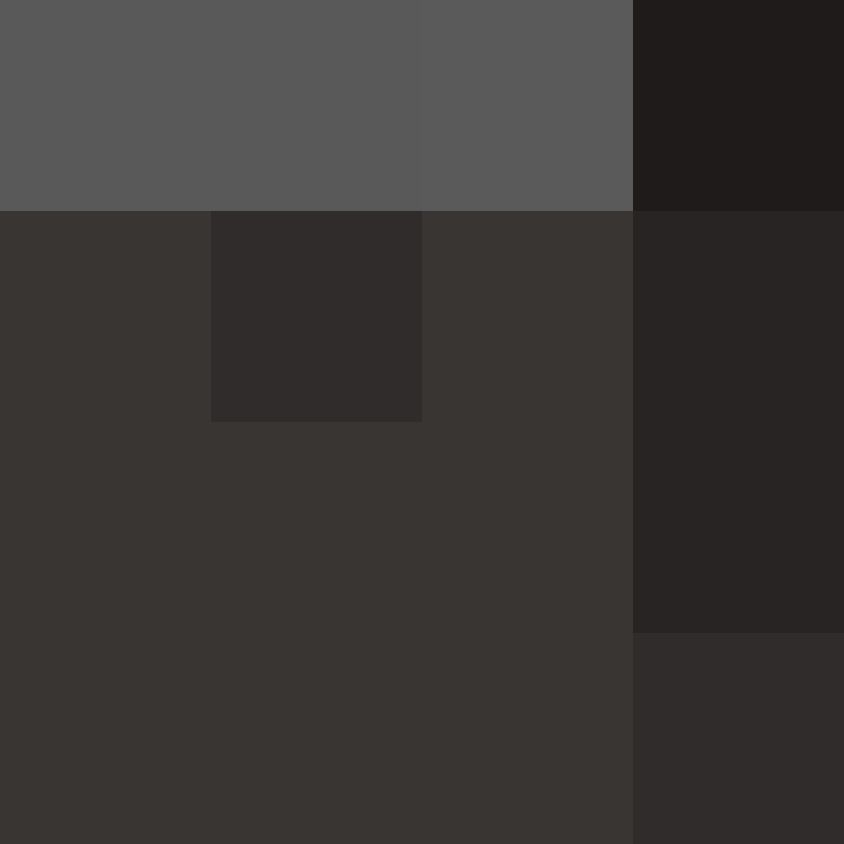 Cartizoll's skin