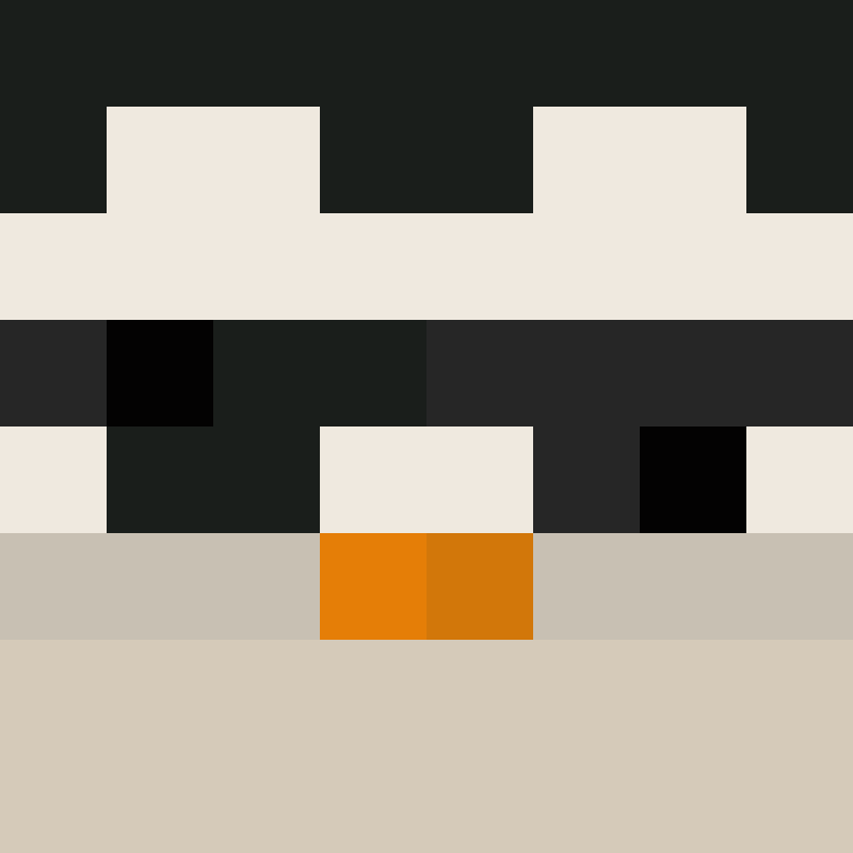 IAmSpadeFan's skin