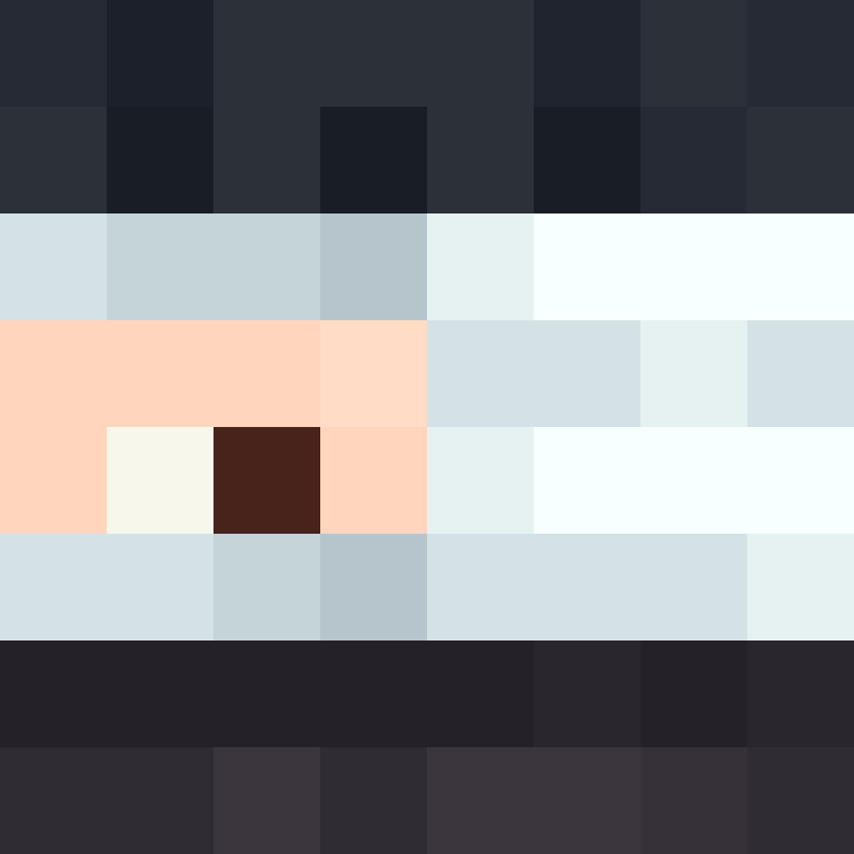 CeilingBird's skin