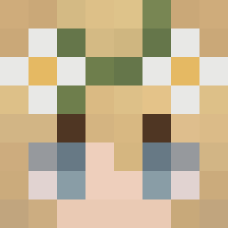 BukkitAPI's skin