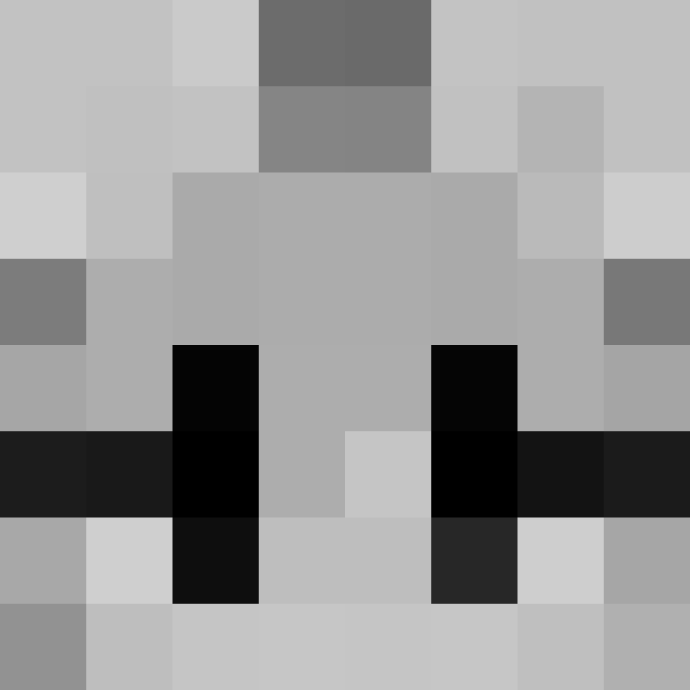 deminecrafterlol's skin