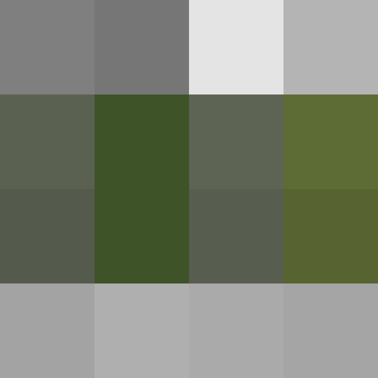 Piedrita17's skin