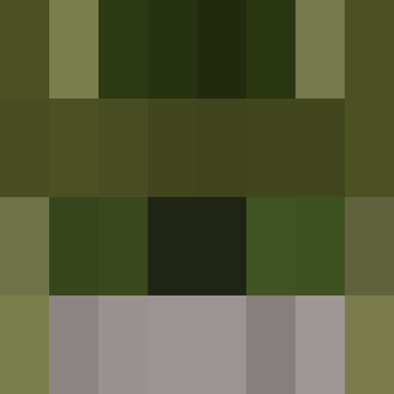 Lenticchie's skin