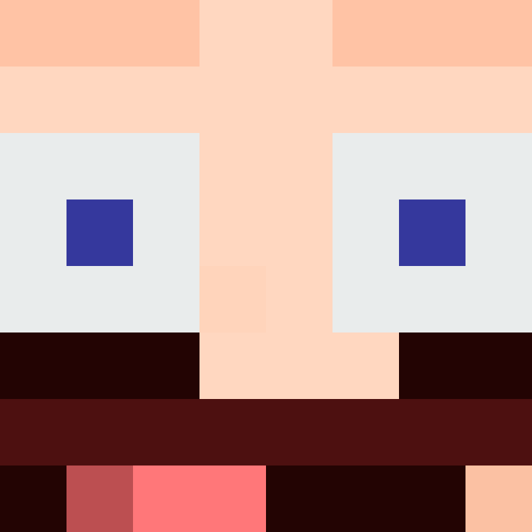BukkitAPI's skin