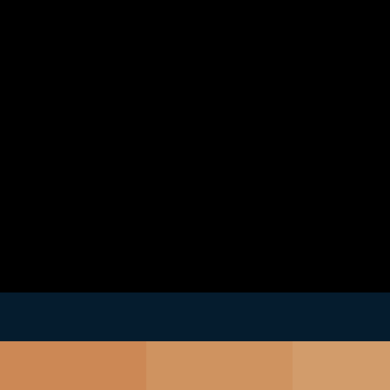 O_Rei's skin