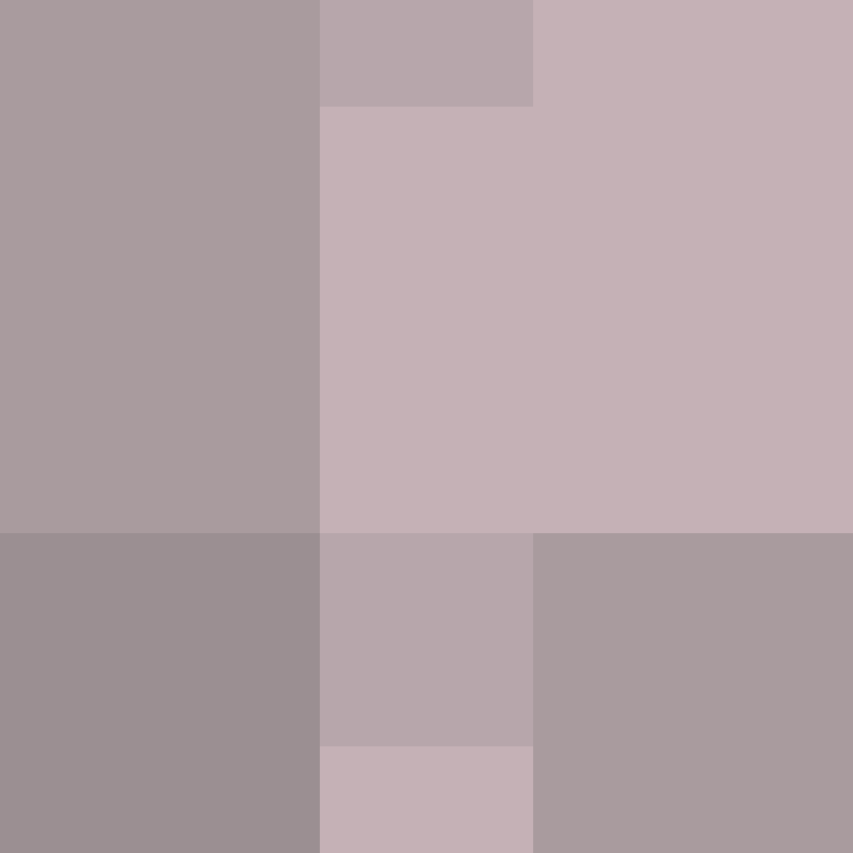 xX_No_Income_Xx's skin