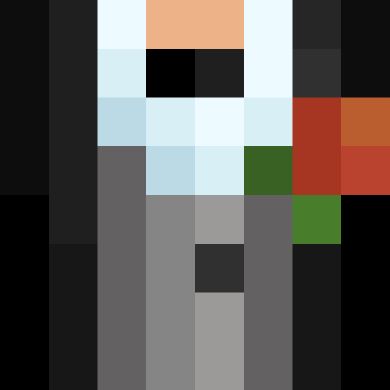 deminecrafterlol's skin