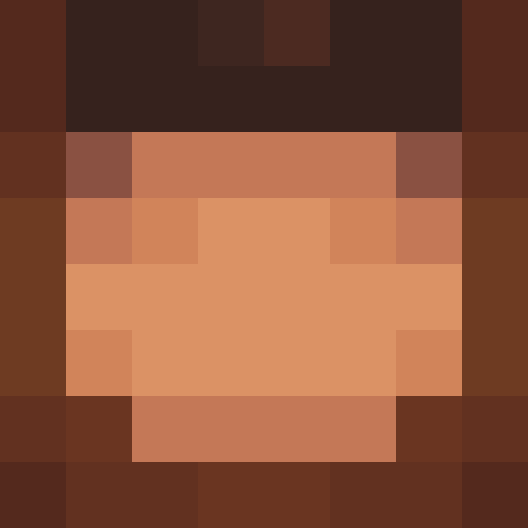 8aca680b22461340's skin