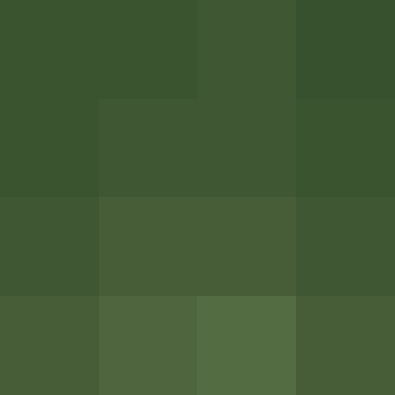 IAmSpadeFan's skin