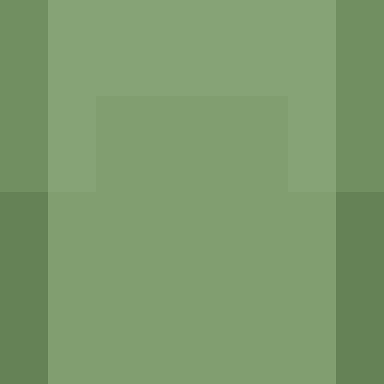 Mine_Skin's skin