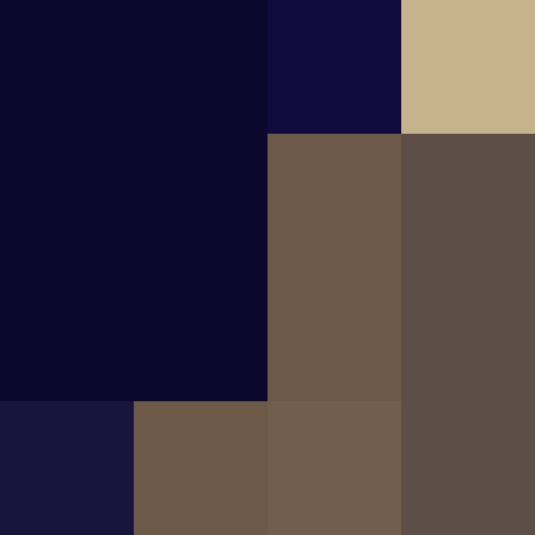 8aca680b22461340's skin
