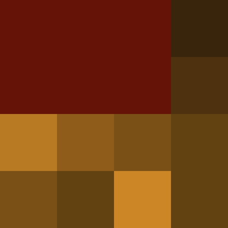 acin5's skin