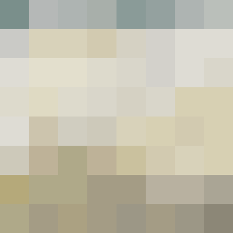 Cartizoll's skin