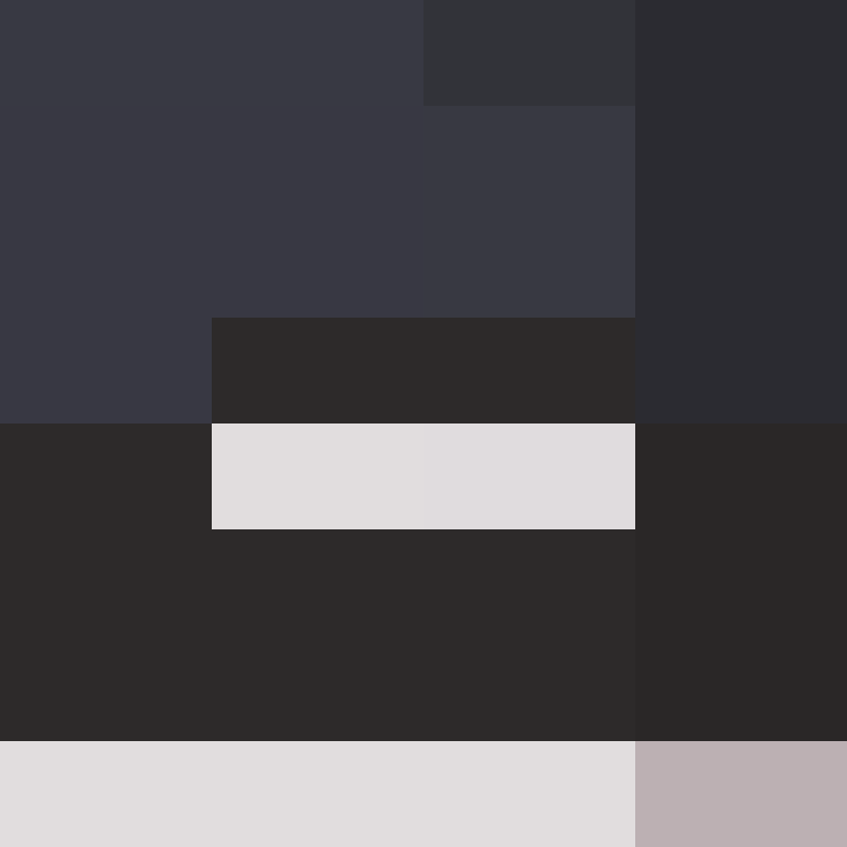 CeilingBird's skin