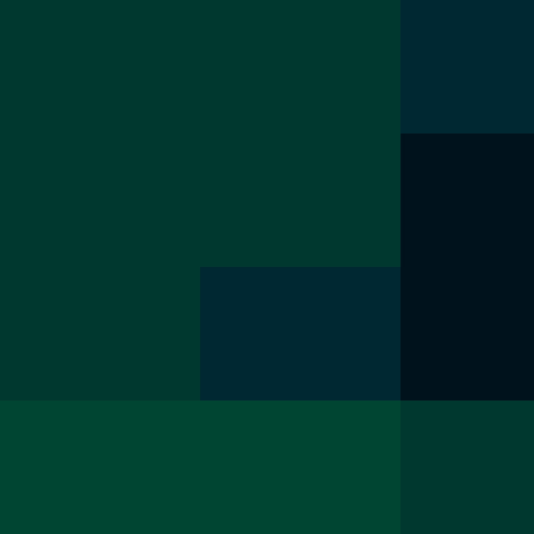 CeilingBird's skin