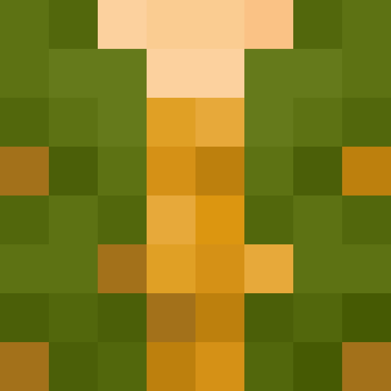 PatatjeMC's skin