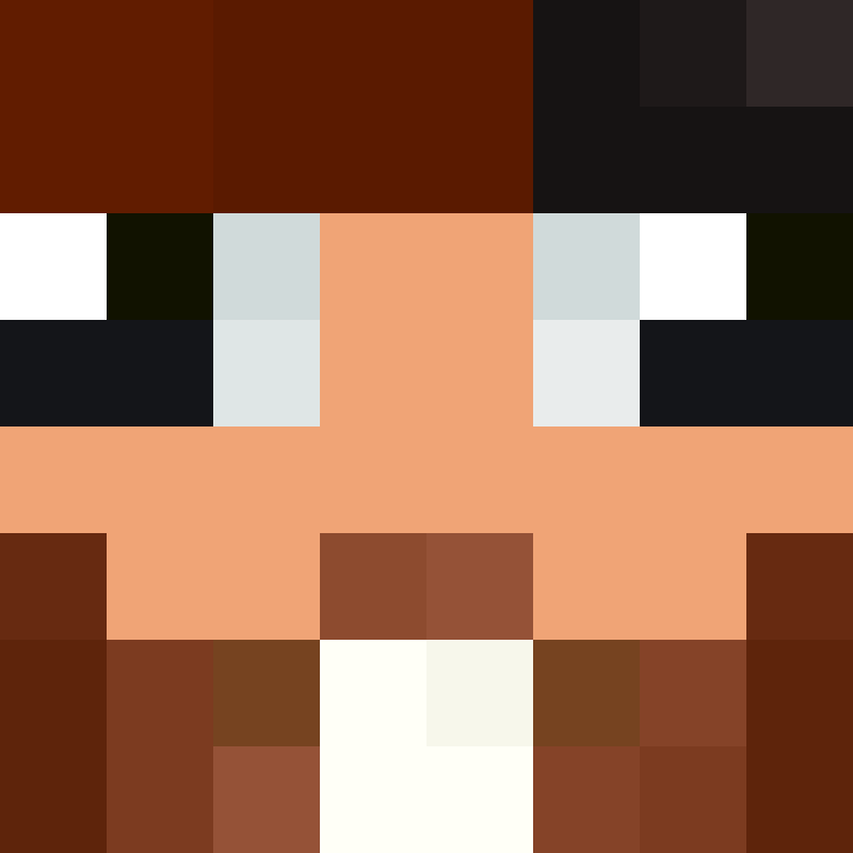 wiredframe's skin